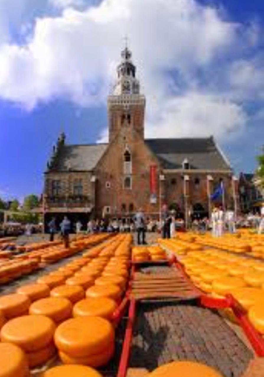 Huisje Britt Met Grote Tuin En Veel Privacy Dirkshorn Exterior foto