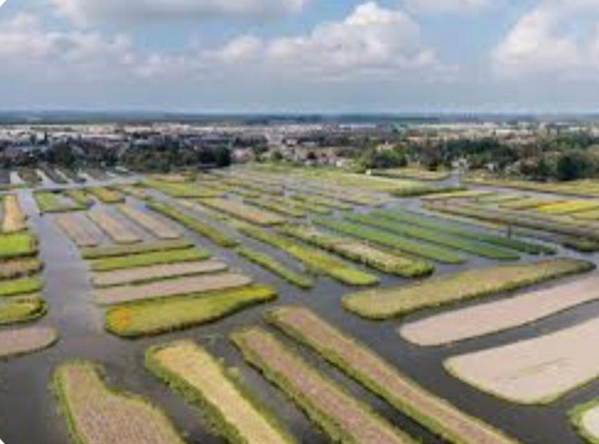 Huisje Britt Met Grote Tuin En Veel Privacy Dirkshorn Exterior foto